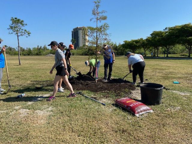 A group of people are planting trees in a park.