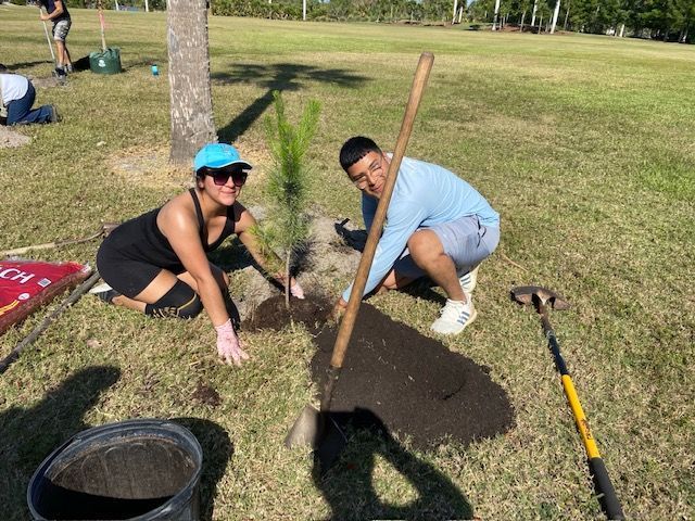 A man and a woman are planting a tree in a park