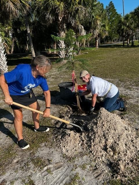 Two people are digging in the dirt with shovels