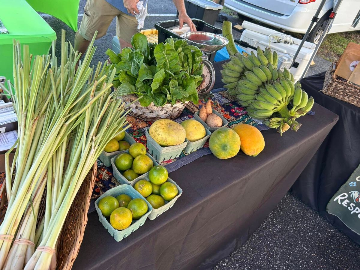 A table with a bunch of fruits and vegetables on it