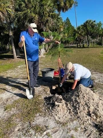 Two men are planting a tree in the dirt in a park.