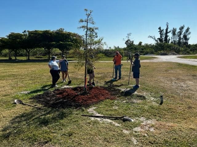 A group of people are planting trees in a park.