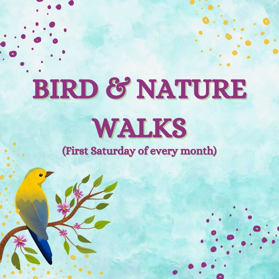 A bird sitting on a branch with the words bird & nature walks