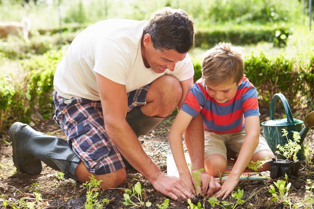 A man and a boy are planting plants in a garden.