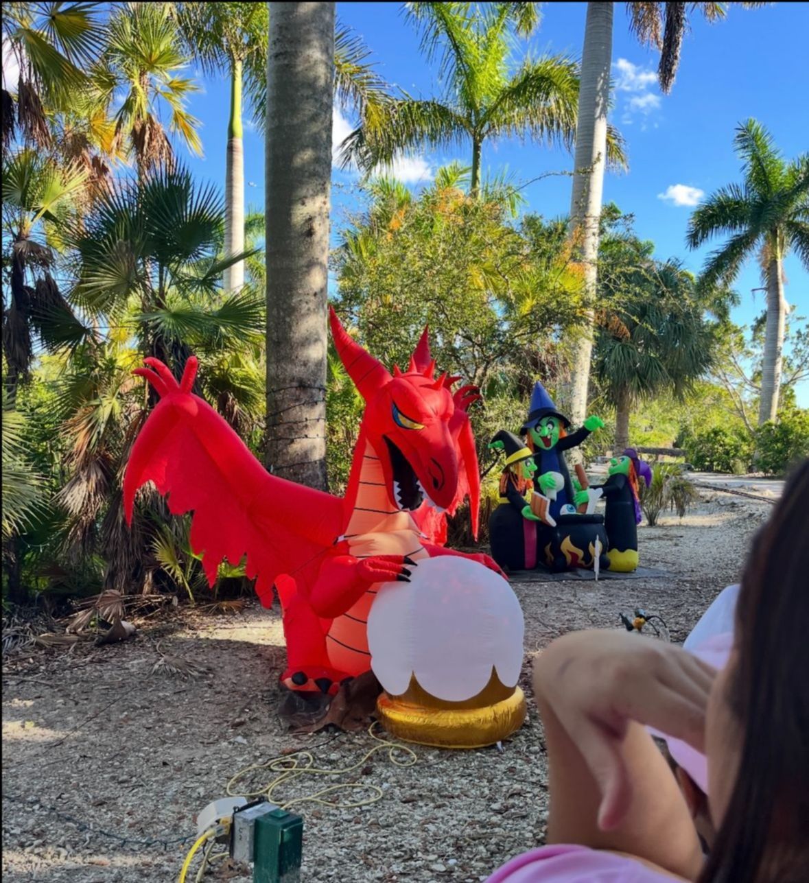 Red inflatable dragon with crystal ball, inflatable witches, palm trees, and sunny outdoor setting.