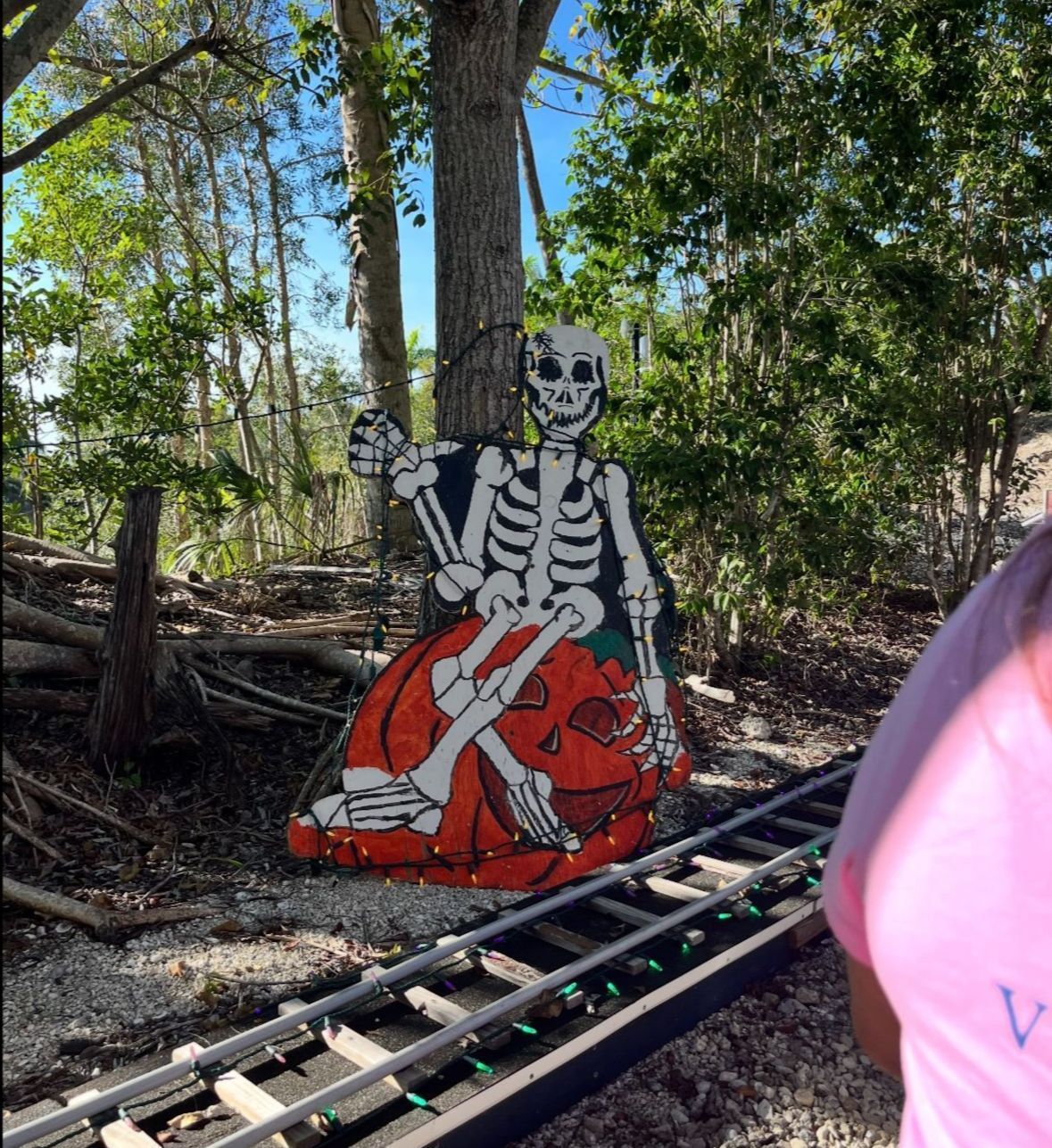 Skeleton on a pumpkin decoration along a miniature train track, in a wooded area.