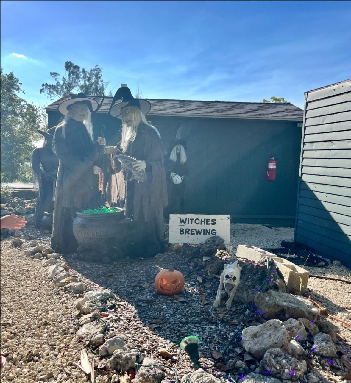 Halloween yard display: witches stirring cauldron,