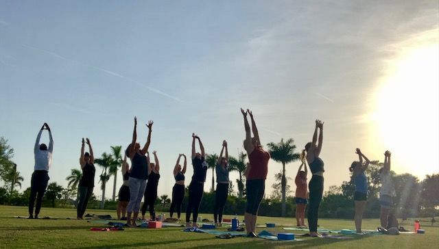 A group of people are doing yoga in a park