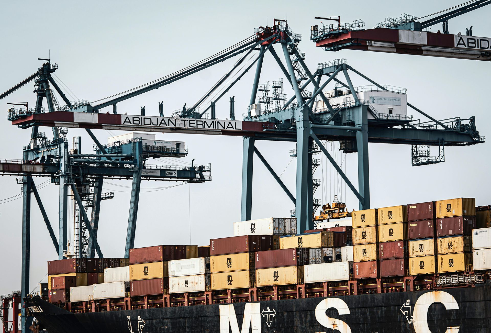 Large gantry cranes load multi-colored shipping containers onto an MSC cargo ship at a busy port.