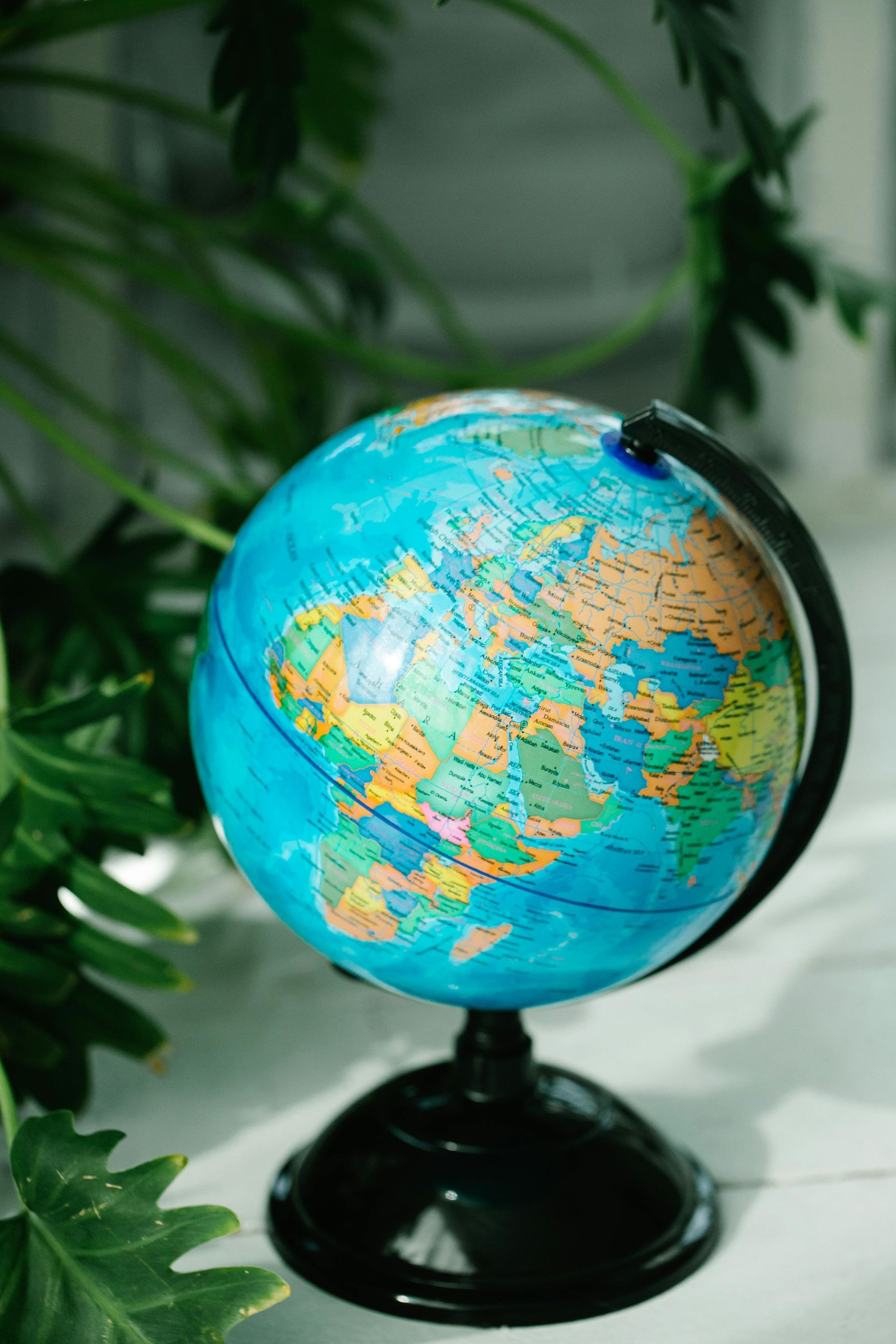 A colorful world globe on a black stand, positioned in front of green leafy plants on a white surface.