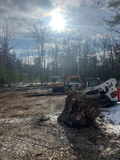 Construction site with heavy machinery clearing land; trees and muddy ground under a sunny sky.