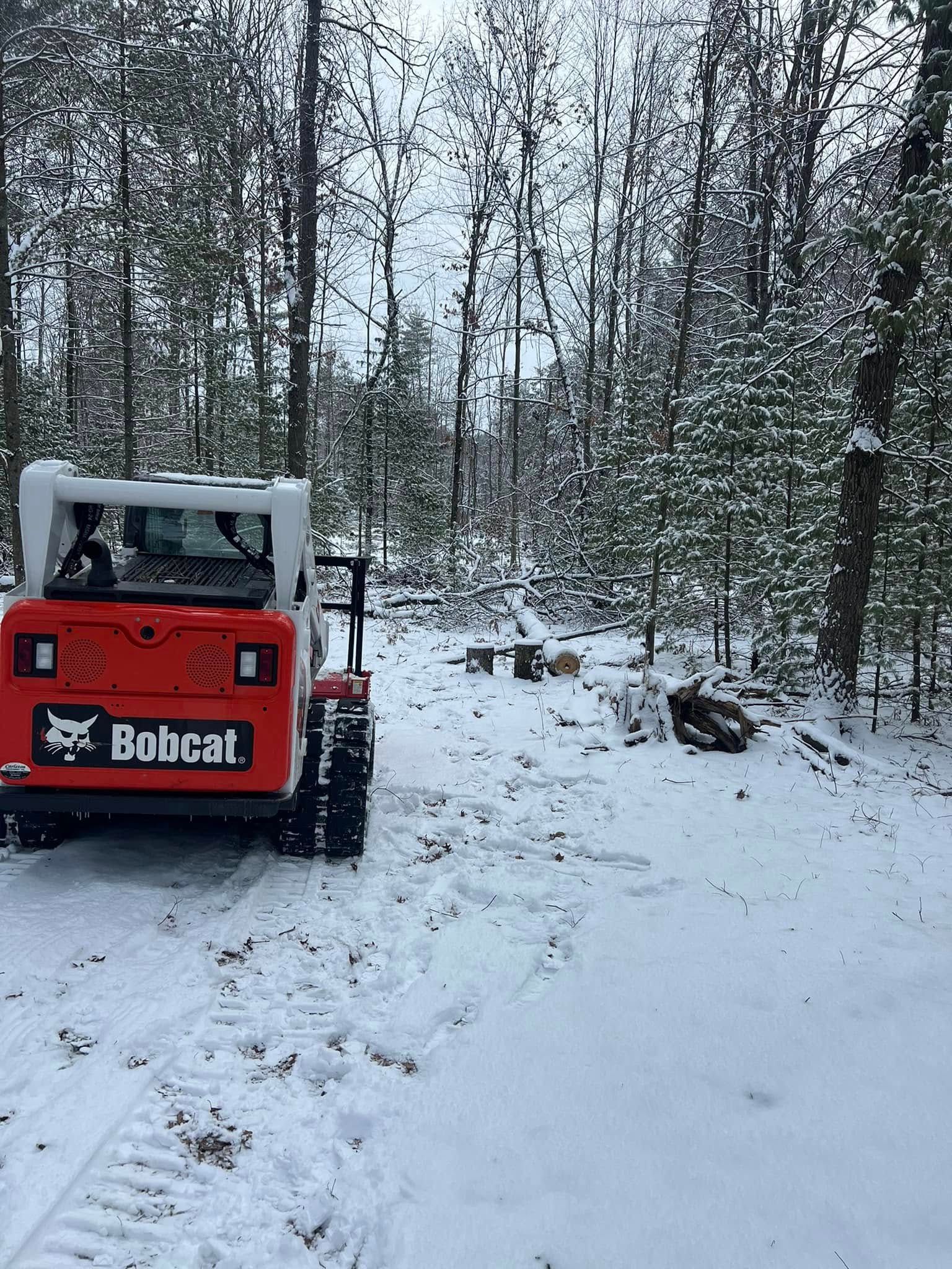 Orange Bobcat tractor in snowy woods.