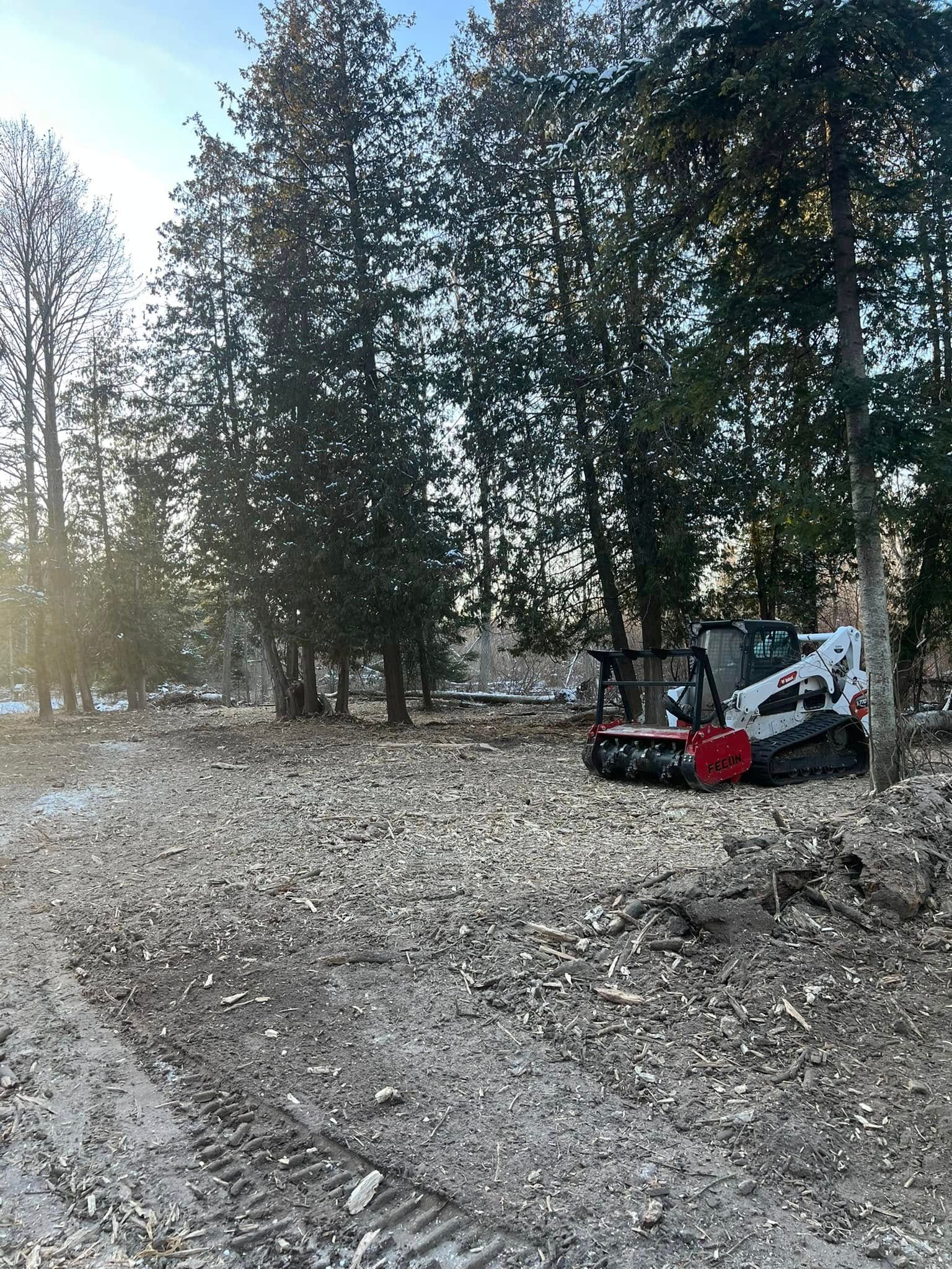 A skid steer mulches wood debris in a clearing of trees.