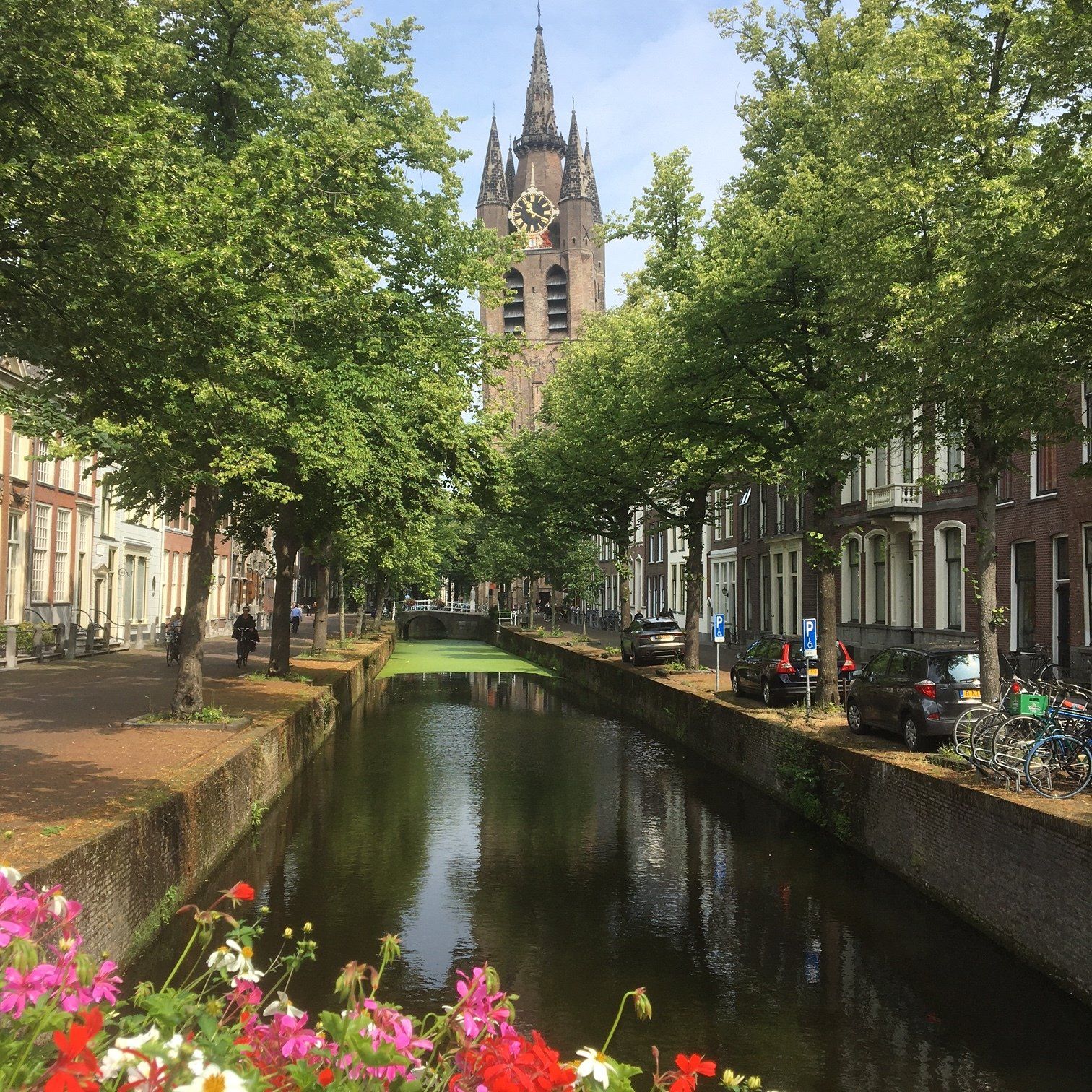 Kanaal omzoomd met bomen en gebouwen, bloemen op de voorgrond, toren in de verte.