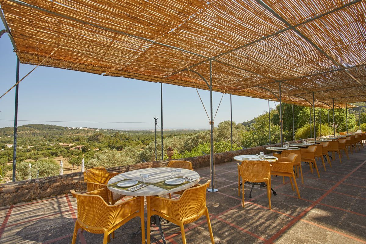 Un patio con mesas y sillas bajo un dosel.