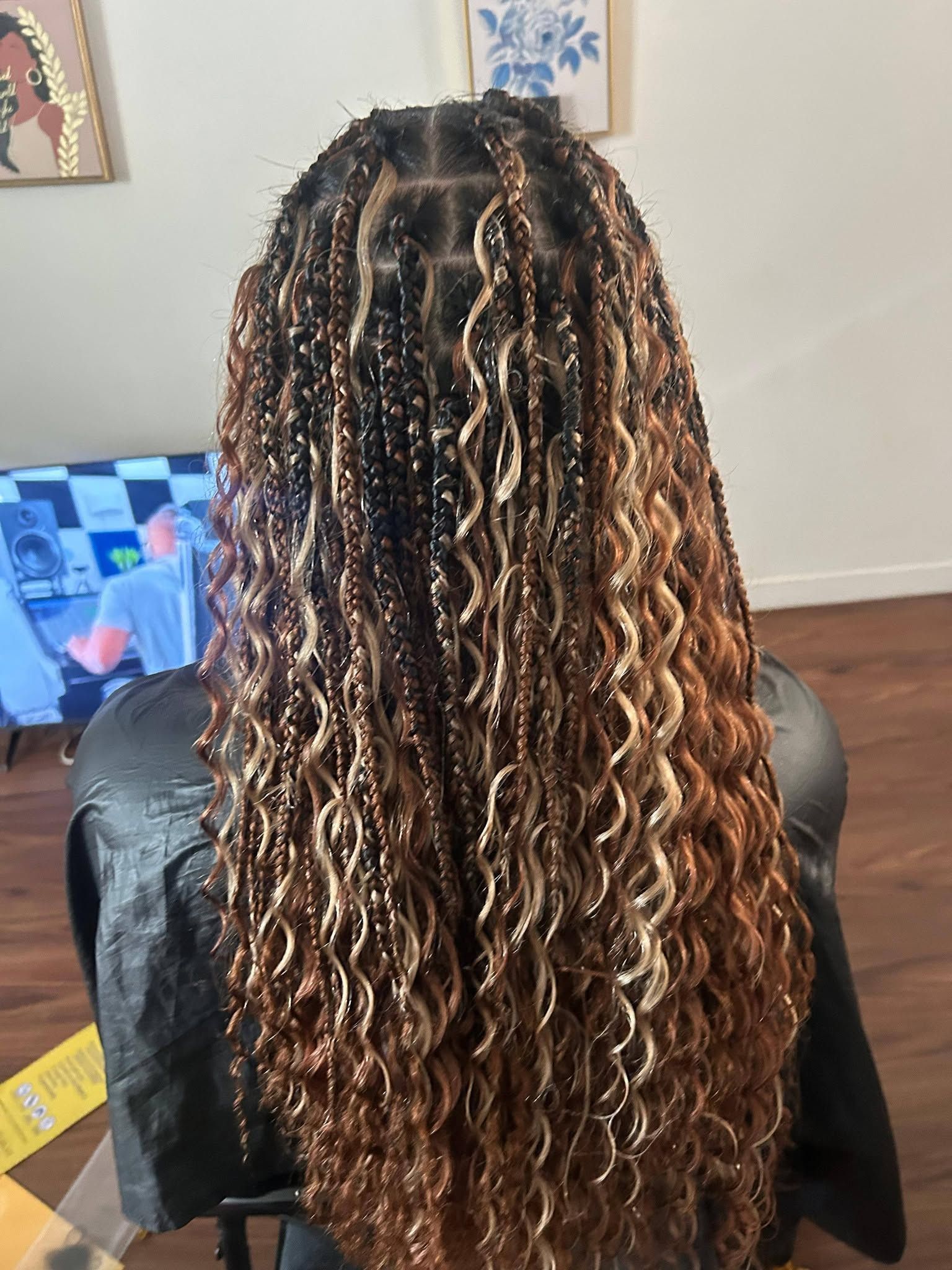 Long braided hairstyle with brown highlights from the back, shown indoors near a TV.