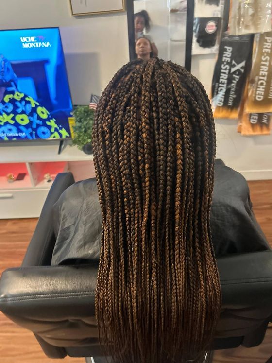 Person with long braided hair seated in a salon chair, seen from behind.