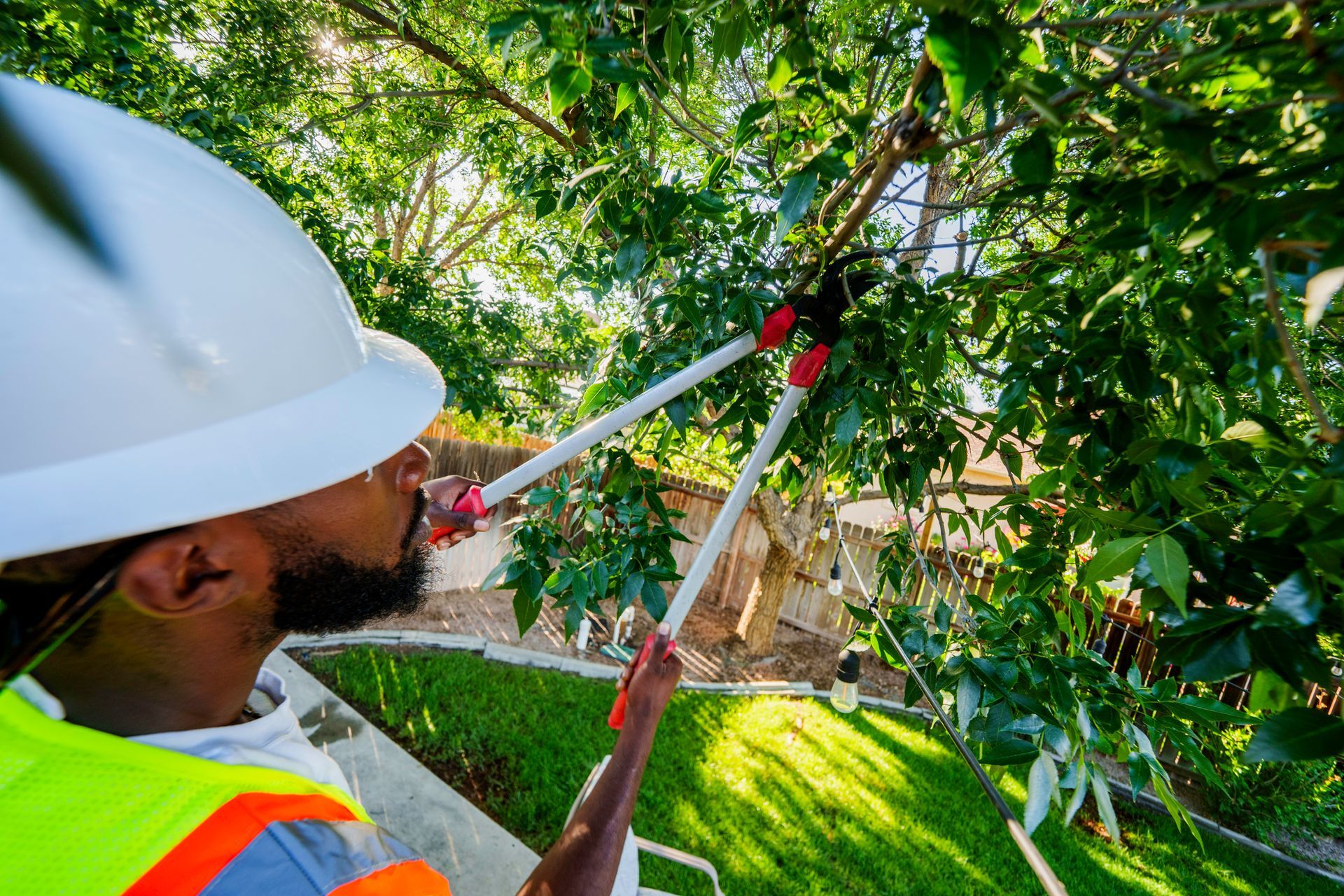 A man wearing a hardhat and safety gear trims a tree in a backyard.
