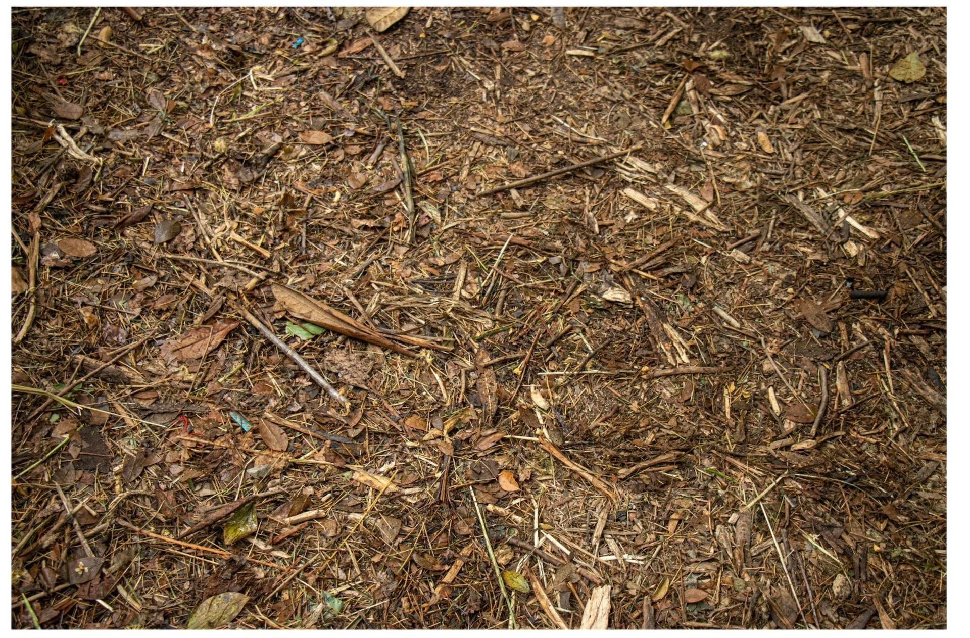 Orange Kubota skid steer loader on tracks in a debris pile beside a concrete wall