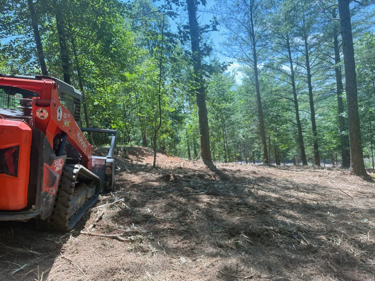 Red skid steer clearing dirt on a wooded hillside under tall pine trees