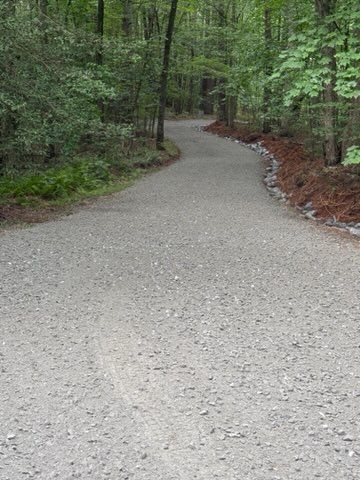 Gravel trail curving through a green forest with trees and brown leaf litter along the edge