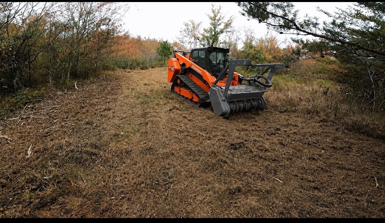 Orange excavator clearing a wooded dirt path surrounded by autumn trees and brush
