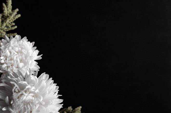 Fiori bianchi su sfondo scuro