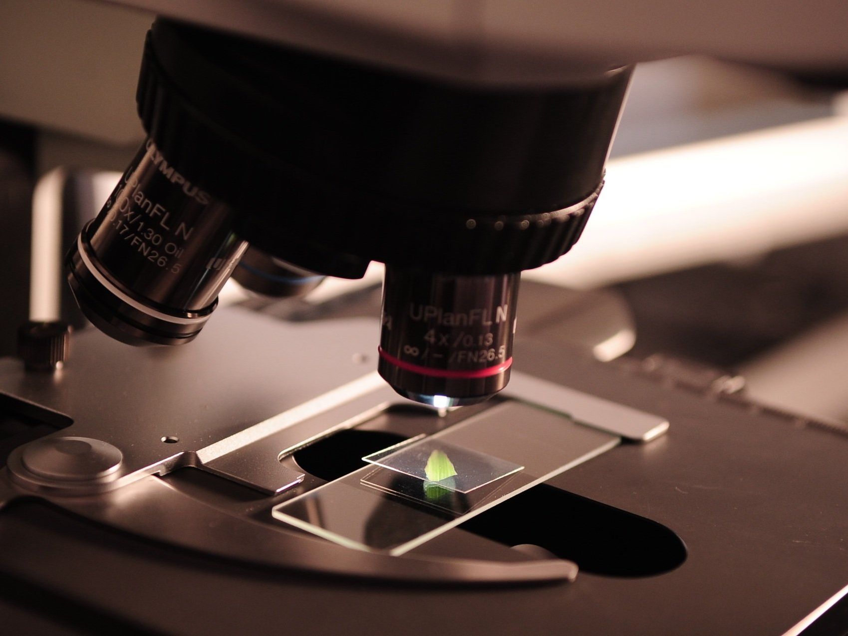 FDA Registered facility