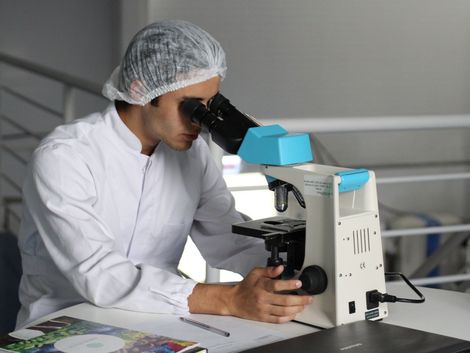 FORMULATION DEVELOPMENT