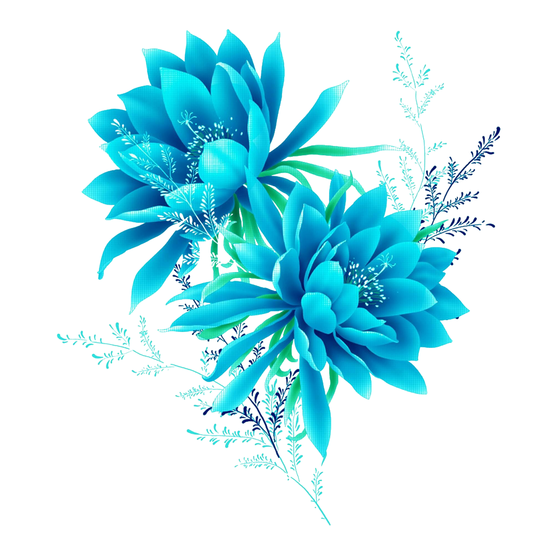 Two turquoise-blue flowers with delicate leaves on a white background
