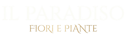 Logo minimalista con la scritta “IL PARADISO” in oro tenue sopra “FIORI PIANTE” su sfondo bianco.