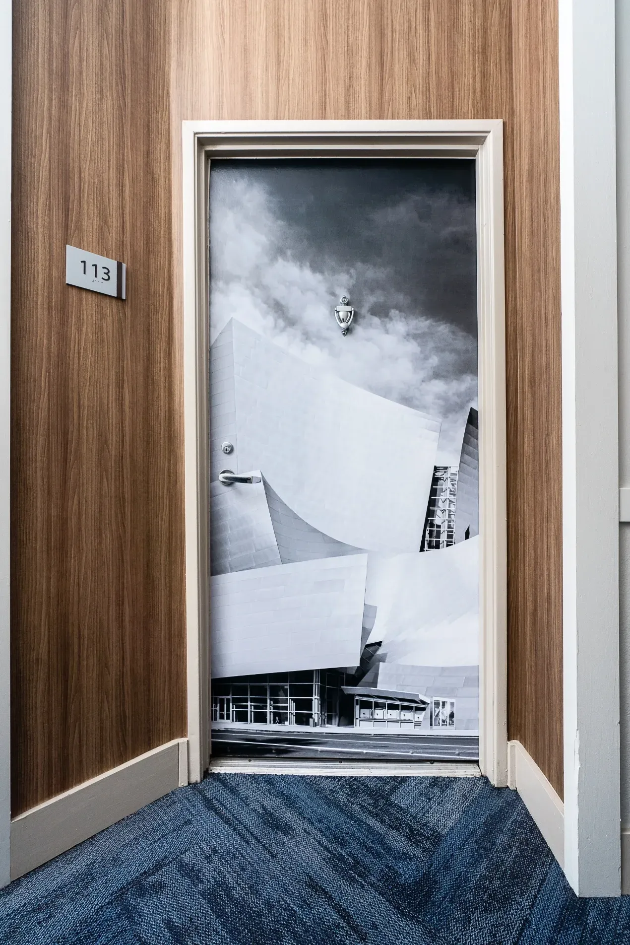 Apartment door 113 with a graphic of a modern building on it.