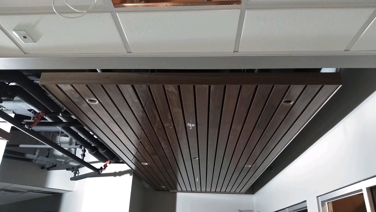 Ceiling-mounted wooden slat panel with recessed lights in a modern interior