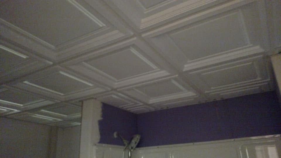 White patterned ceiling with a dark purple wall and a small plant in the corner