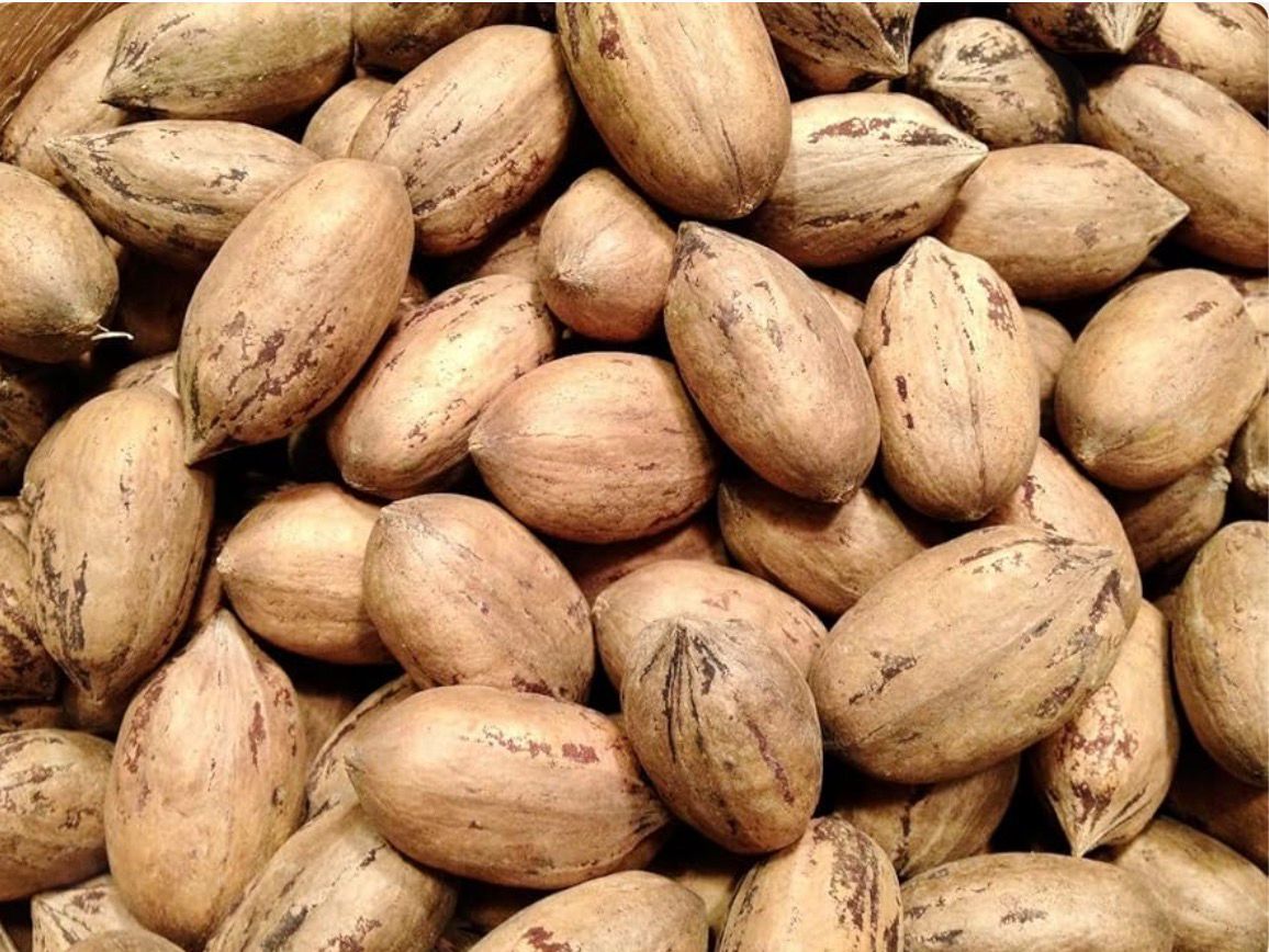 Pile of tan, unshelled peanuts filling the frame