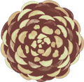 Estampa floral abstrata em tons de vinho e creme, que lembra uma flor em camadas ou uma roseta.