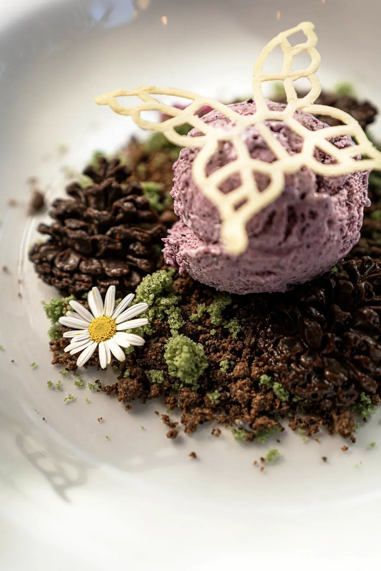 Sobremesa empratada com mousse roxa, crumble de chocolate, borboleta de chocolate branco e uma pequena margarida como decoração.