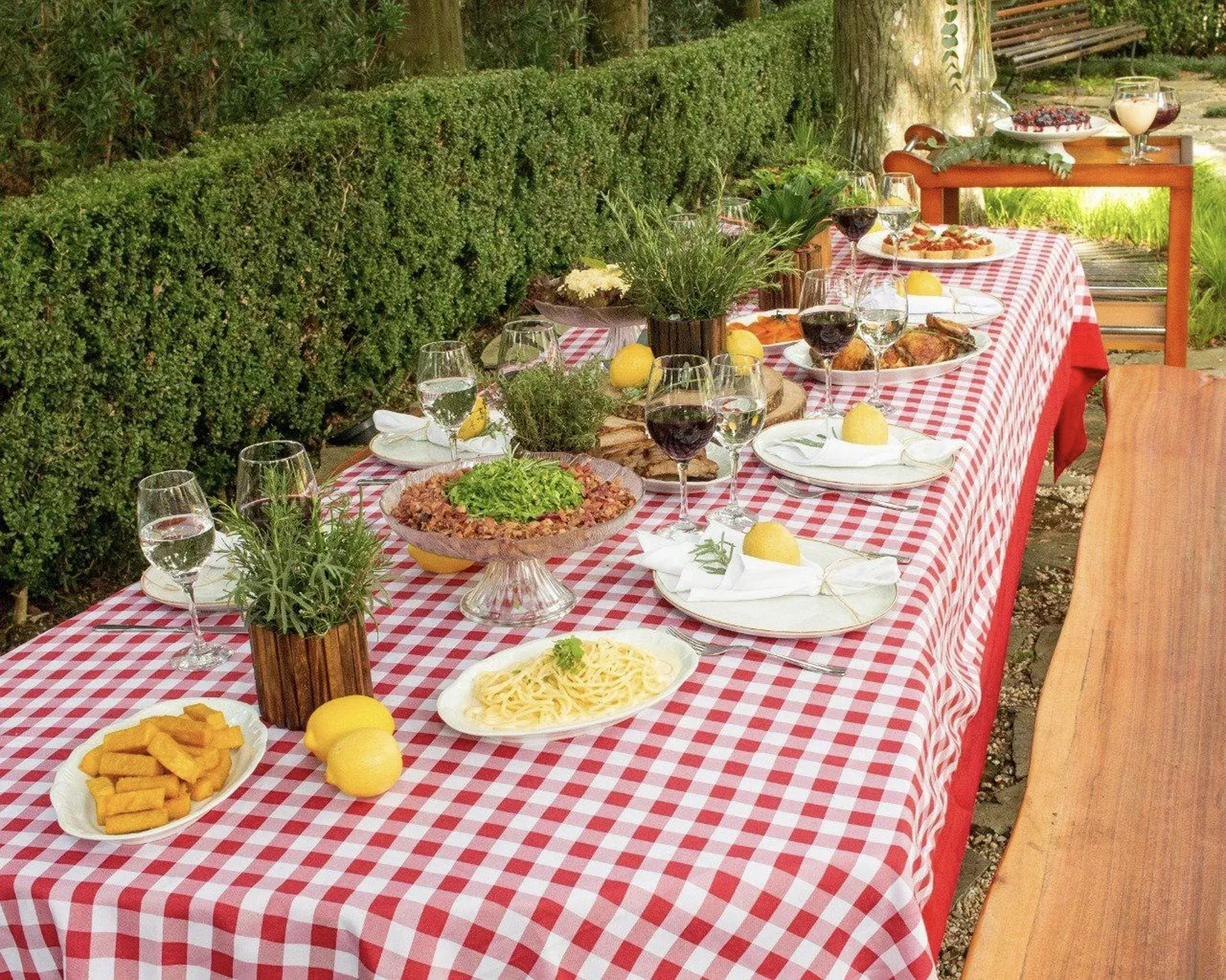 Mesa de bufê ao ar livre com toalha xadrez vermelha e branca, pratos variados, frutas e bebidas ao lado de uma sebe.