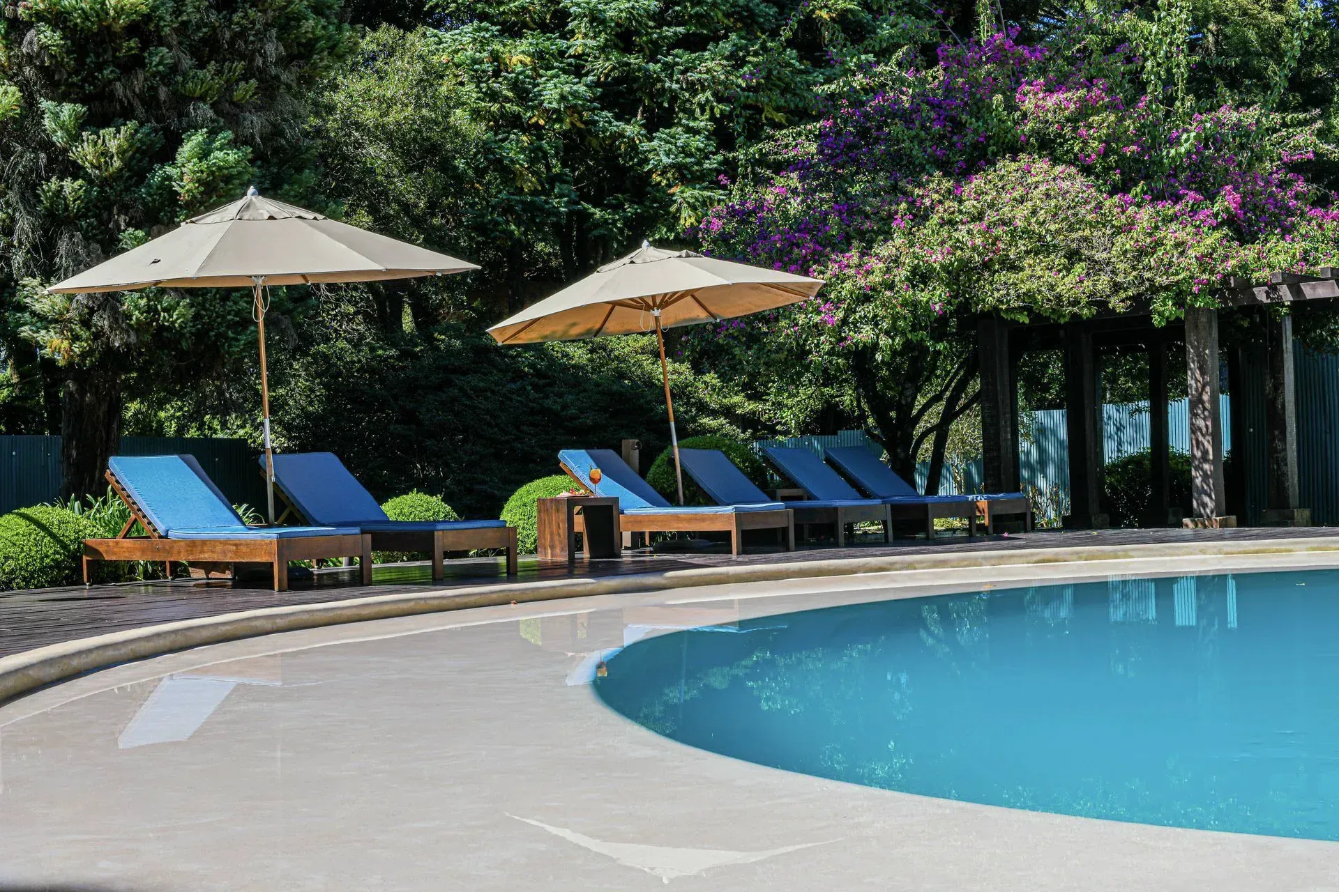 Espreguiçadeiras e guarda-sóis à beira de uma piscina curva, com vegetação exuberante ao fundo.