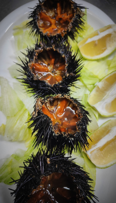 Ricci di mare
