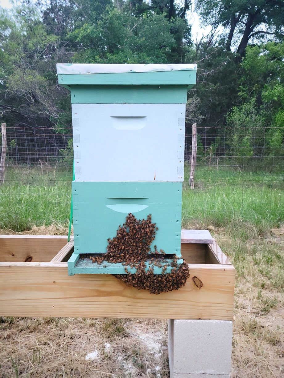 A beehive is sitting on top of a wooden block in a field.