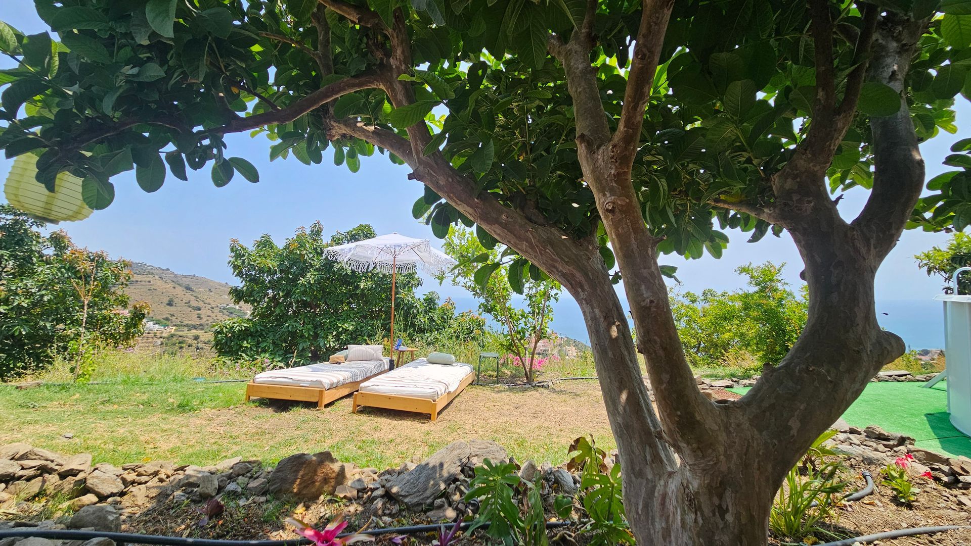 Two lounge chairs under an umbrella, near a tree, overlooking a blue sea.