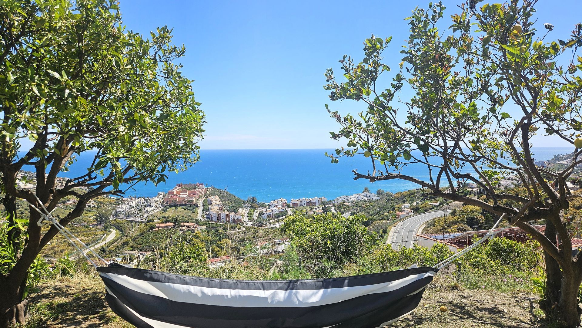 Hammock overlooking ocean, trees frame view of town, blue sky.