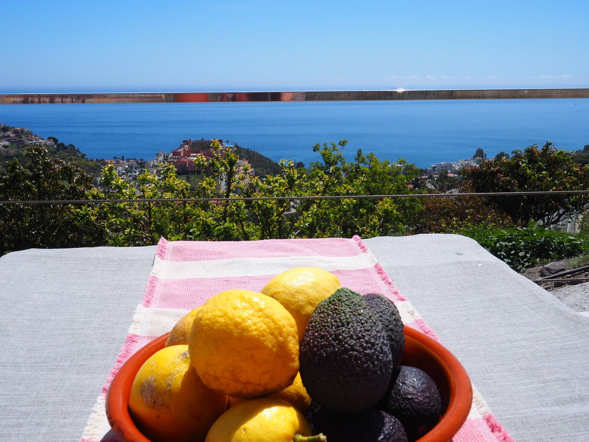 Bowl of lemons and avocados on a table with a seaside view.