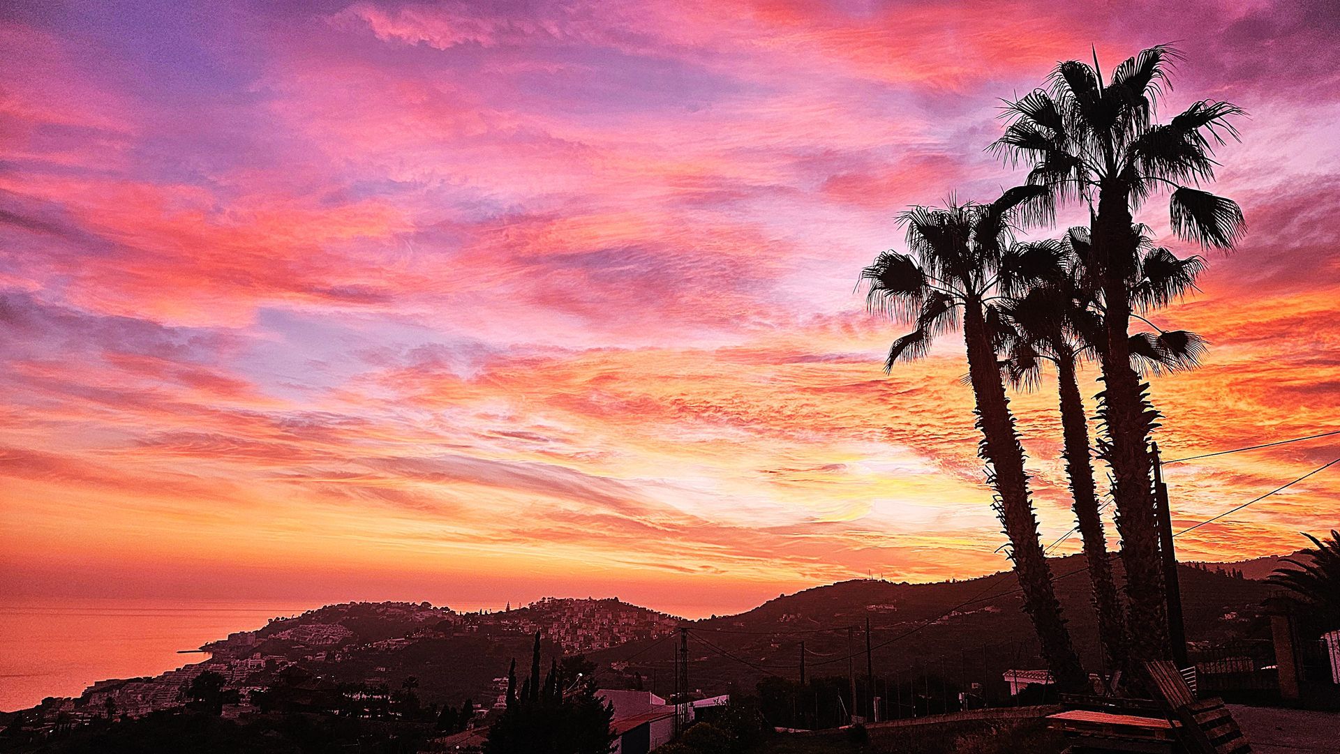 Sunset over coastal landscape with palm trees silhouetted against a vibrant orange and purple sky.