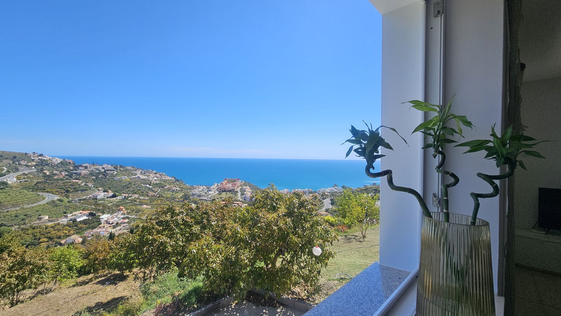 View from a balcony overlooking a blue ocean and hillside. Green plants in a vase on the right.