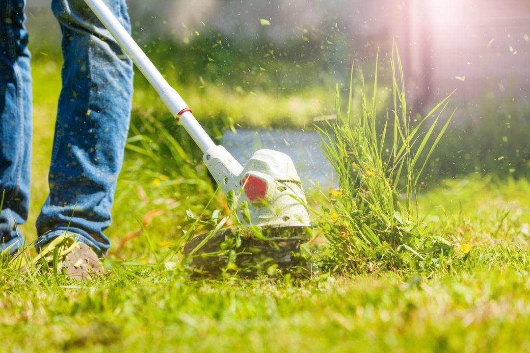 disinfezione e taglio erba