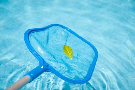 A blue leaf rake is holding a yellow leaf in a swimming pool.