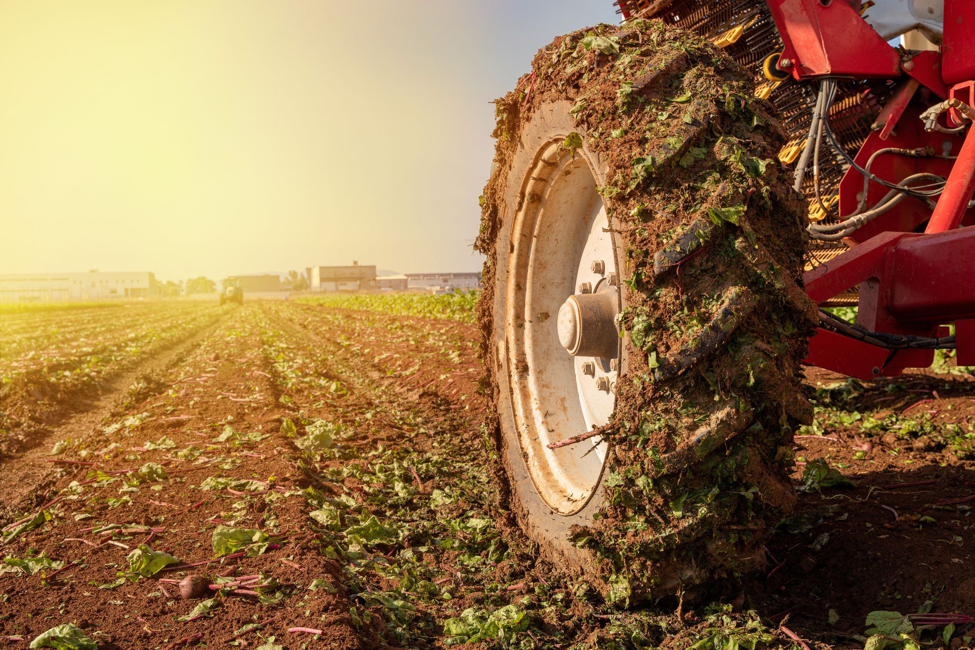 A Muddy Tractor Tire In A Field At Sunrise — THG Tires in Gladstone Central, QLD
