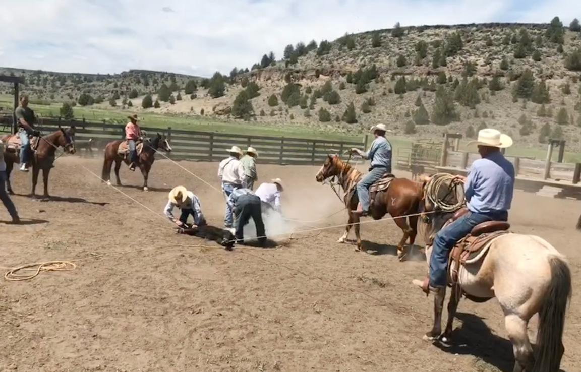 Home Page for Central Oregon Rancher Magazine